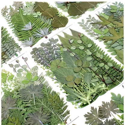 Dried Flower Material Pack 120pcs, Real Pressed Dried Flowers and Leaves for DIY Resin Phone Case Coaster Photo Frame Bookmark Greeting Card Candle Making Jewelry Craft Supplies