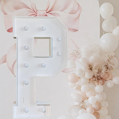 Marquee Letter Lights 3ft LED Light Up Letters for Weddings, Proposals & Celebrations - Cool White Lighted KT Board DIY Display Frame
