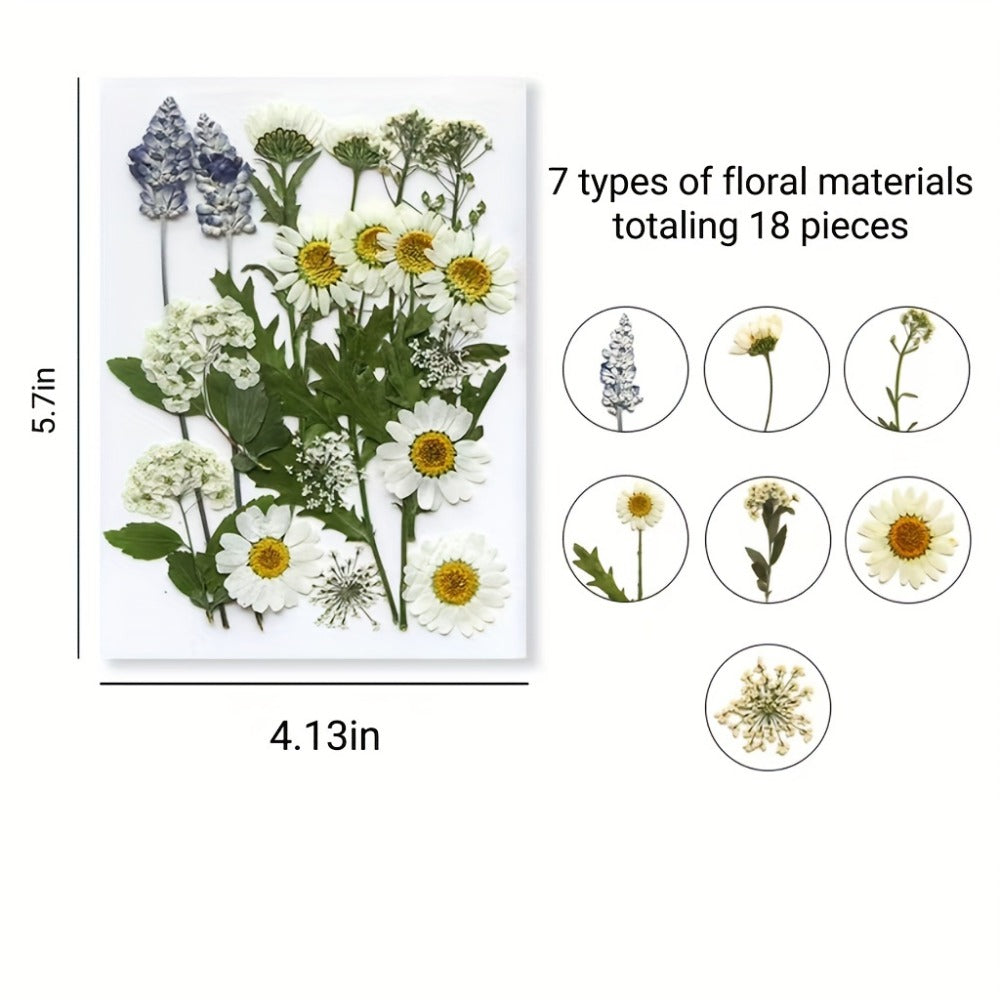 Dried Flower Set for Crafts – Real Pressed Flowers for Resin, Scrapbooking, Epoxy Jewelry, Bookmarks, Wedding Cards & Art Decoration, 189 / 238 / 287 / 319 Pieces Mixed Variety Pack