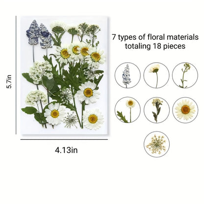 Dried Flower Set for Crafts – Real Pressed Flowers for Resin, Scrapbooking, Epoxy Jewelry, Bookmarks, Wedding Cards & Art Decoration, 189 / 238 / 287 / 319 Pieces Mixed Variety Pack