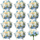 Blue White