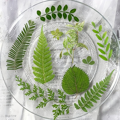 Dried Flower Material Pack 120pcs, Real Pressed Dried Flowers and Leaves for DIY Resin Phone Case Coaster Photo Frame Bookmark Greeting Card Candle Making Jewelry Craft Supplies