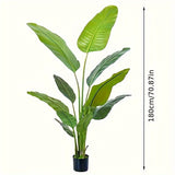 New Paradise Bird-70.87inch