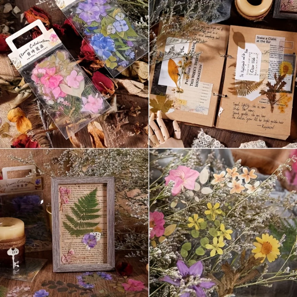 Dried Flower Set for Crafts – Real Pressed Flowers for Resin, Scrapbooking, Epoxy Jewelry, Bookmarks, Wedding Cards & Art Decoration, 189 / 238 / 287 / 319 Pieces Mixed Variety Pack