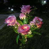2 pink 7 roses