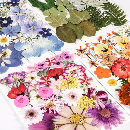 Dried Flowers Set 110 Pieces Vibrant Dried Flowers and Leaves for DIY Crafts Resin Jewelry Making Phone Case Candle Making Scrapbooking Epoxy Art Floral Decoration Nature Pressed Flower Kit for Adults