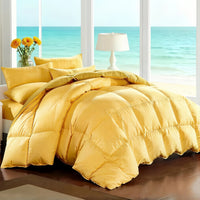 Sunflower Yellow