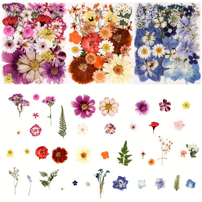 Dried Flowers Set 110 Pieces Vibrant Dried Flowers and Leaves for DIY Crafts Resin Jewelry Making Phone Case Candle Making Scrapbooking Epoxy Art Floral Decoration Nature Pressed Flower Kit for Adults