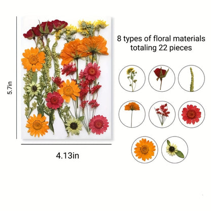 Dried Flower Set for Crafts – Real Pressed Flowers for Resin, Scrapbooking, Epoxy Jewelry, Bookmarks, Wedding Cards & Art Decoration, 189 / 238 / 287 / 319 Pieces Mixed Variety Pack