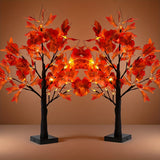 Black Branch Red Maple Tree