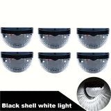 Black Shell White Light