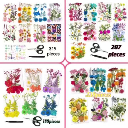 Dried Flower Set for Crafts – Real Pressed Flowers for Resin, Scrapbooking, Epoxy Jewelry, Bookmarks, Wedding Cards & Art Decoration, 189 / 238 / 287 / 319 Pieces Mixed Variety Pack