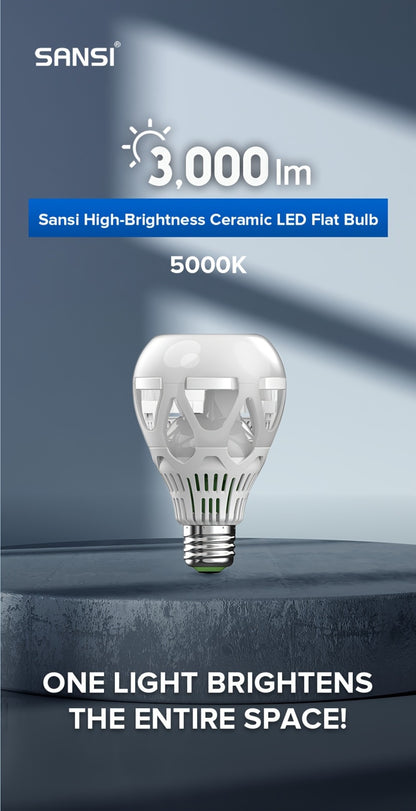 A21 LED Light Bulb 22W 3000 Lumens 200W Equivalent High Brightness Non-Dimmable – E26 Base 3000K Warm White & 5000K Daylight for Home Office Garage Workshop Indoor Lighting, 4-Pack