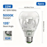 5000K Daylight White