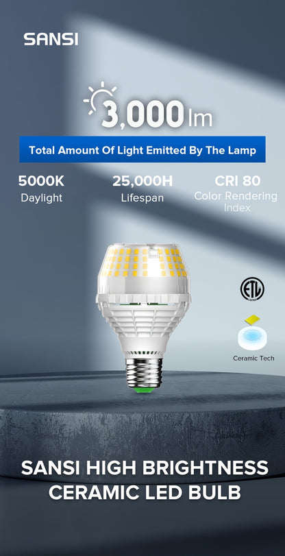 A19 LED Light Bulb 20W 3000 Lumens 250W Equivalent High Brightness Non-Dimmable – E26 Base 270 Degree Beam Angle 25000H Lifespan, 5000K Daylight & 3000K Warm White for Home Office Indoor Lighting