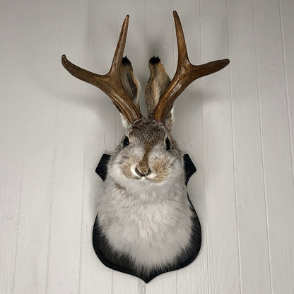 Jackalope Wall Mount Faux Taxidermy Rabbit Head with Antlers - Whimsical 3D Resin Animal Wall Art for Home, Living Room & Office Decor | Retro Fauxidermy Gift for Birthday, Housewarming & Christmas