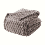 Gray Turtle Shell
