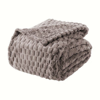 Gray Turtle Shell