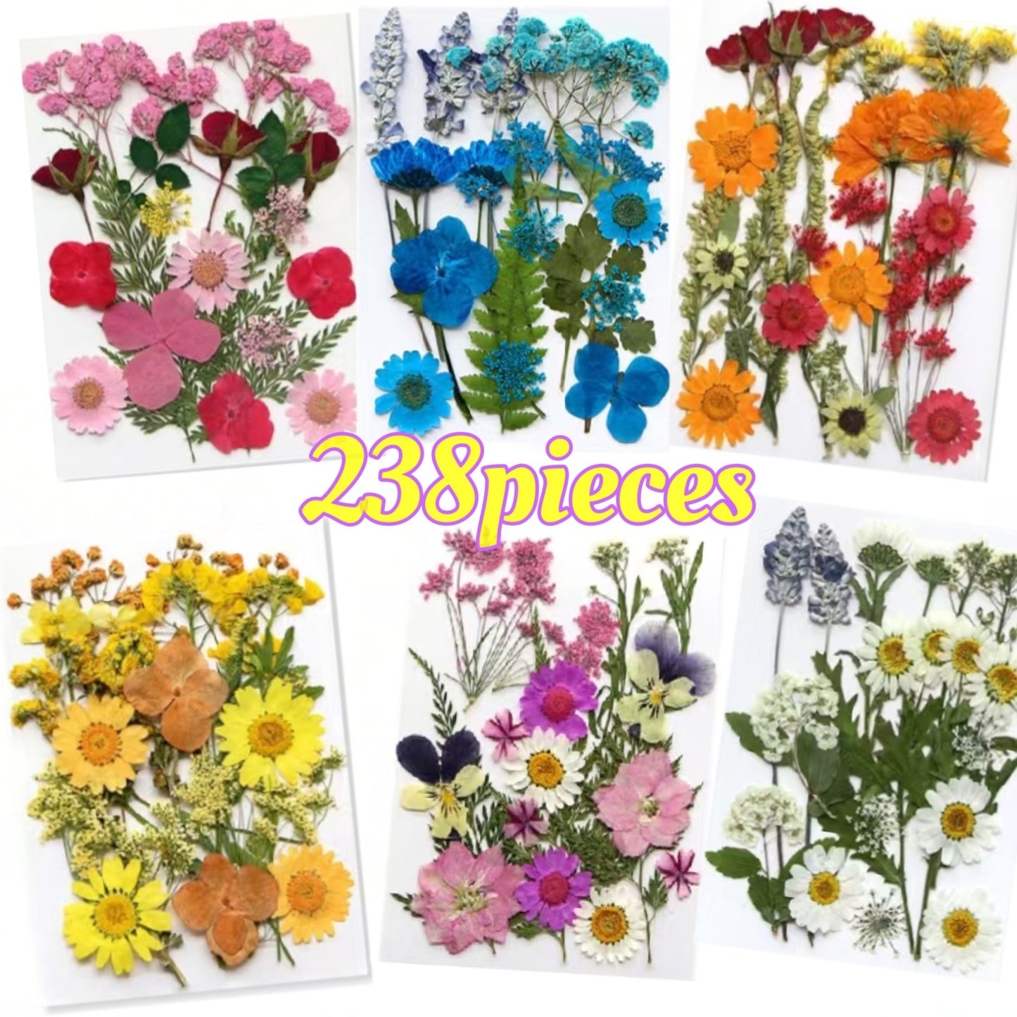 Dried Flower Set for Crafts – Real Pressed Flowers for Resin, Scrapbooking, Epoxy Jewelry, Bookmarks, Wedding Cards & Art Decoration, 189 / 238 / 287 / 319 Pieces Mixed Variety Pack