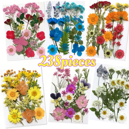 Dried Flower Set for Crafts – Real Pressed Flowers for Resin, Scrapbooking, Epoxy Jewelry, Bookmarks, Wedding Cards & Art Decoration, 189 / 238 / 287 / 319 Pieces Mixed Variety Pack