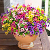 Mixed Color