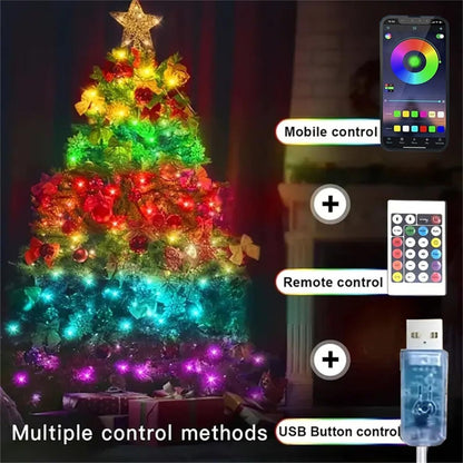 RGB Smart Fairy String Lights with App & Remote Control, Music Sync, IP65 Waterproof, USB Powered Multicolor LED String Lights for Bedroom, Outdoor, Christmas, Party, Wedding Decoration