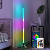 RGB-IC