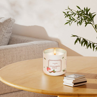 Scented Candle Set for Women 30oz - Rose Sandalwood Cinnamon Apple Lavender Fragrance Metal Jar Candles Gift Set for Christmas Birthday Valentine Holiday Home Decor