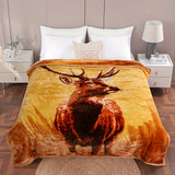 Deer & elephant