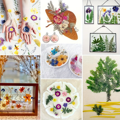 Dried Pressed Flowers Kit 500pcs – Natural Real Flower Petals & Leaves for Resin Art, Nail Art, Jewelry Making, Scrapbooking, Phone Case Decor, Candle Making & DIY Floral Crafts