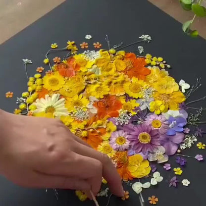 Dried Pressed Flowers Kit 500pcs – Natural Real Flower Petals & Leaves for Resin Art, Nail Art, Jewelry Making, Scrapbooking, Phone Case Decor, Candle Making & DIY Floral Crafts