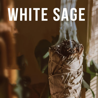 Sage Smudge Kit 5 Pack White Sage Cedarwood Dragon's Blood Eucalyptus Lavender Incense Sticks Set for House Cleansing Meditation Spiritual Purification Home Decor Gift Set for Women Men Beginners