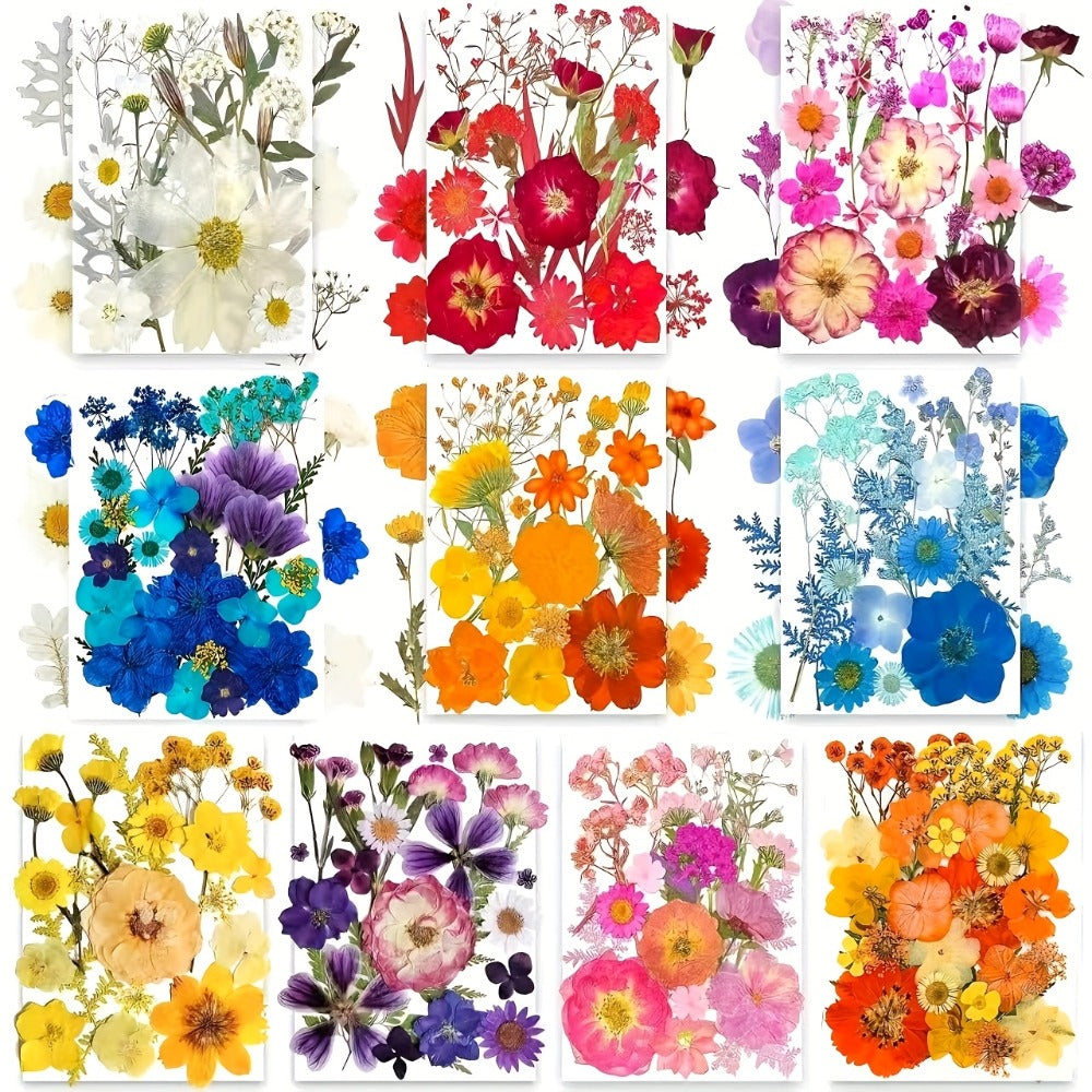 Dried Pressed Flowers Kit 500pcs – Natural Real Flower Petals & Leaves for Resin Art, Nail Art, Jewelry Making, Scrapbooking, Phone Case Decor, Candle Making & DIY Floral Crafts