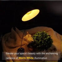 Warm White